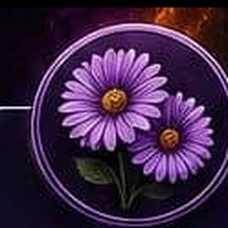 Purple Daisies plan badge